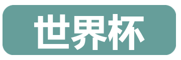 世界杯