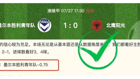 克鲁塞罗致命反击解析：如何突破对手防线